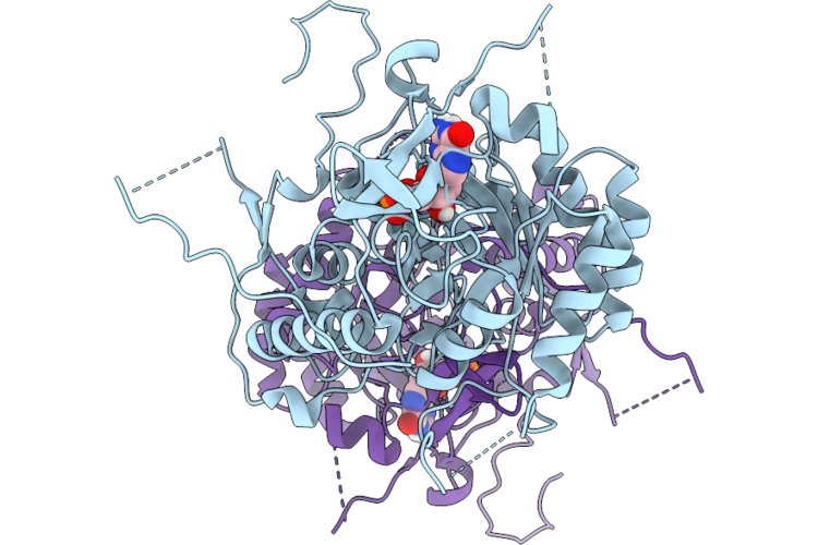 9HKB image