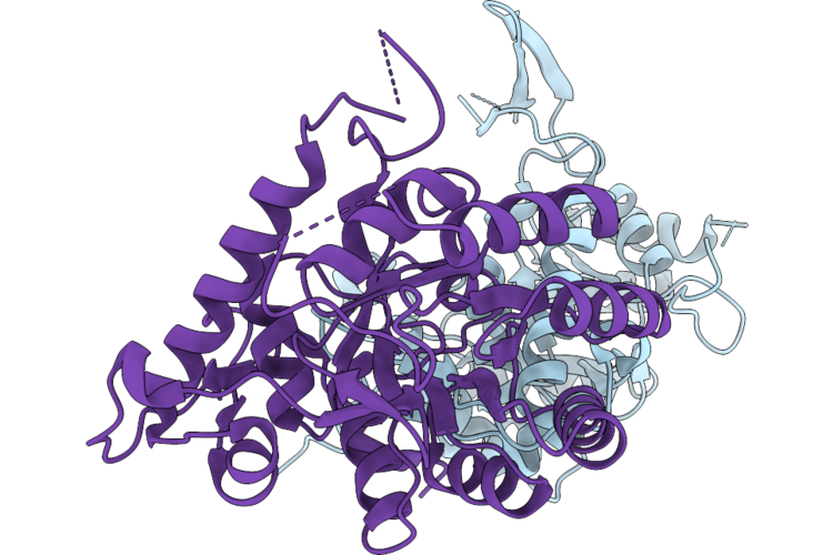 9HKC image