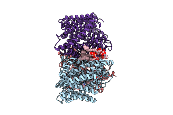 9HKM image