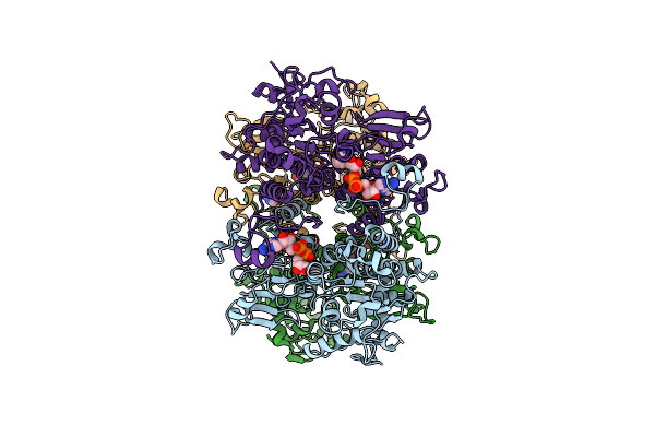 9HKV image