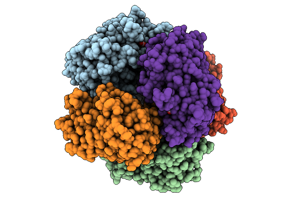 9HL1 image