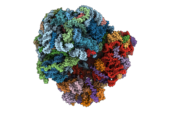 9HL9 image