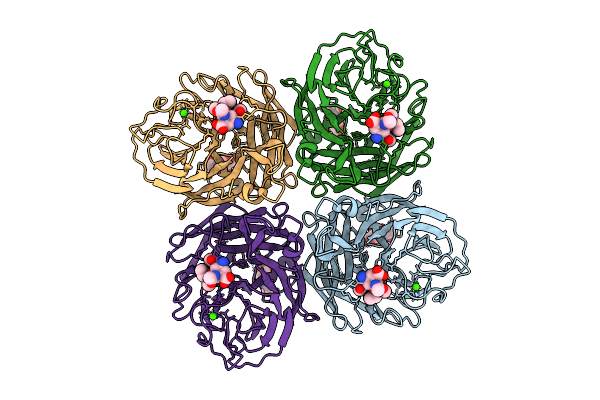 9HLG image