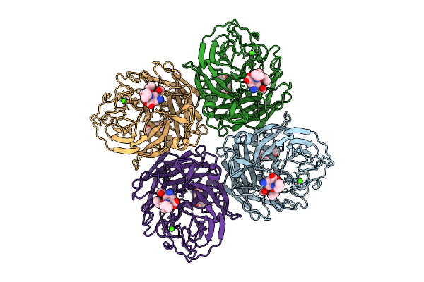 9HLI image