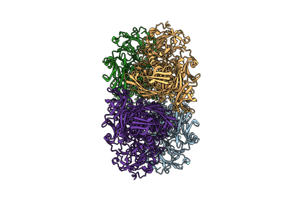 9HLM image