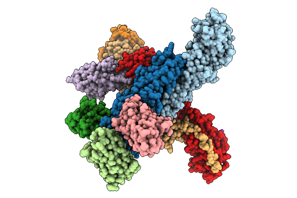 9HLS image
