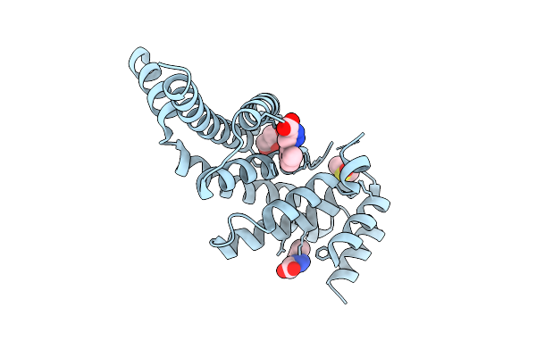 9HLT image