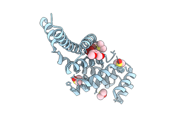 9HLU image