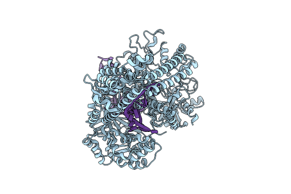 9HLX image