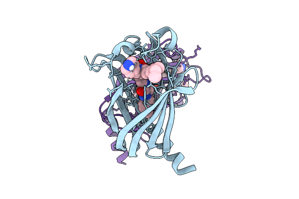9HMD image