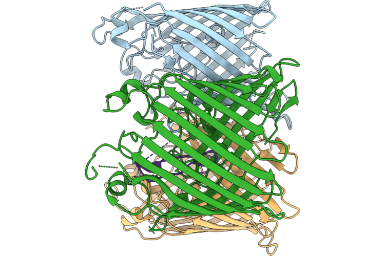 9HN1 image