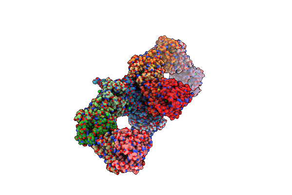 9HNC image