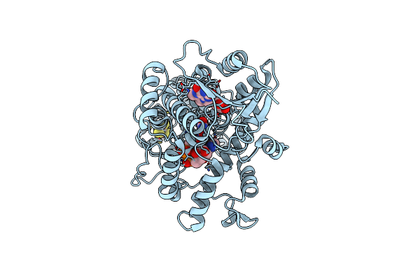 9HNN image