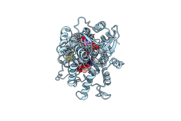 9HNO image
