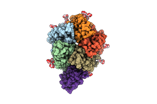 9HNS image
