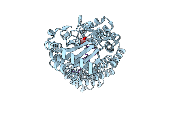 9HNZ image