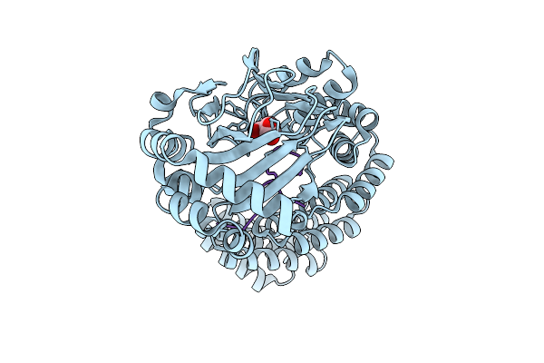 9HO2 image