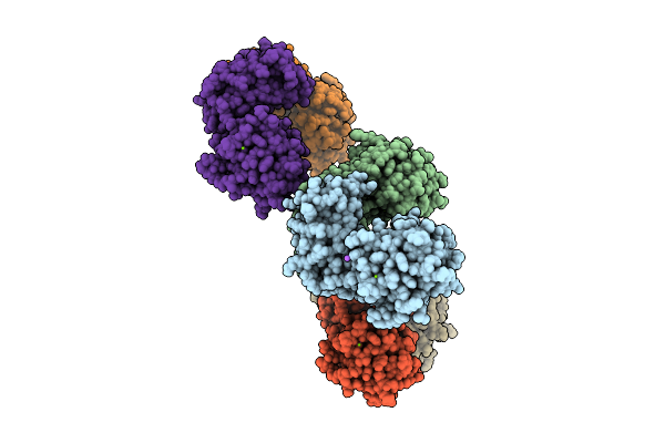 9HPB image
