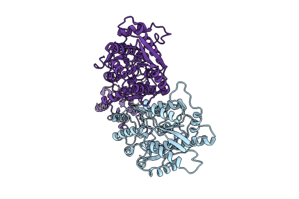 9HPG image