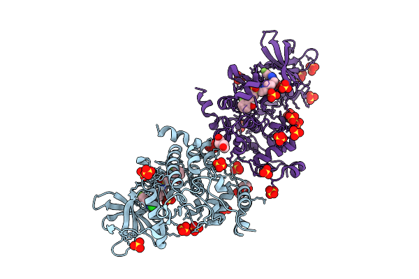 9HPH image