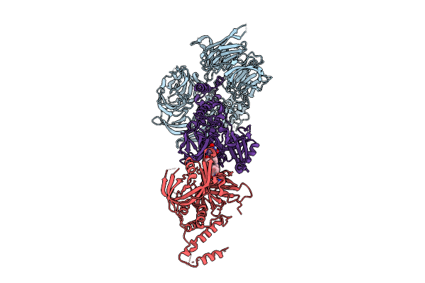 9HPI image
