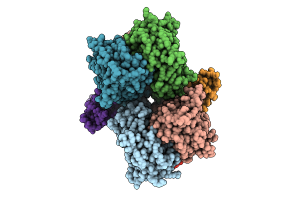 9HPK image