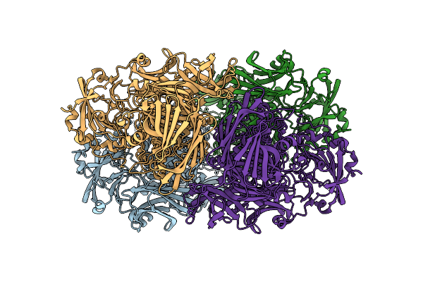 9HPL image