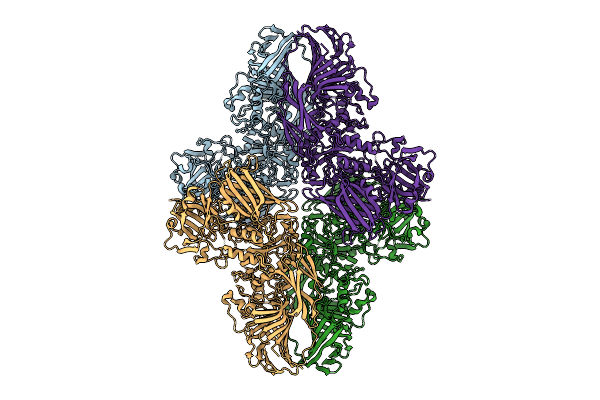 9HPM image