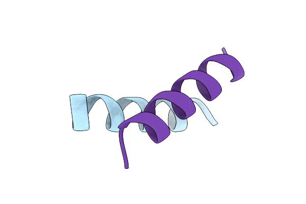 9HPP image