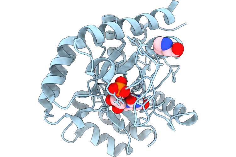9HPR image