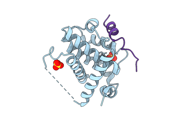 9HPS image