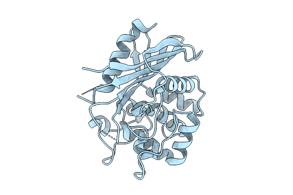 9HPT image