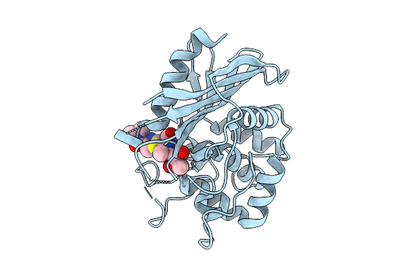 9HPW image