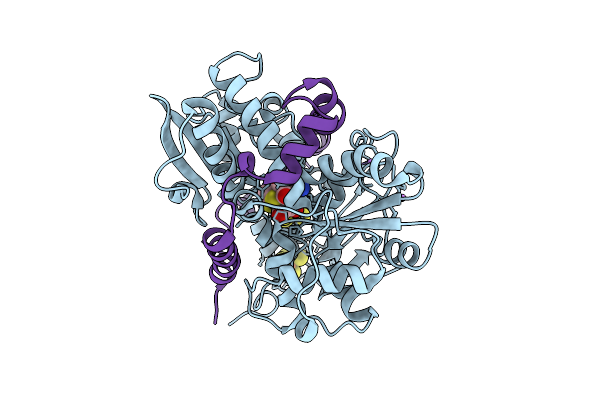9HPX image
