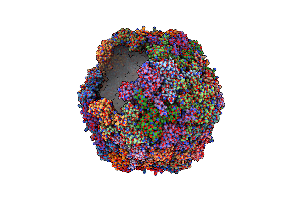 9HQC image