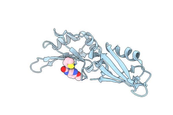 9HQL image