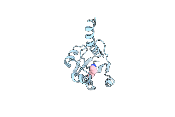 9HSC image