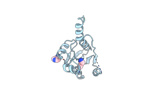 9HSD image