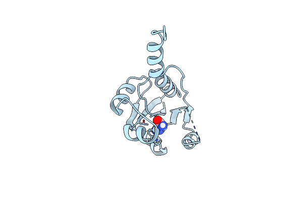 9HSF image