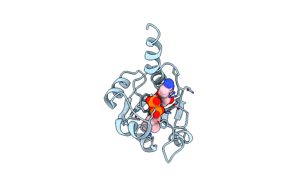 9HSG image