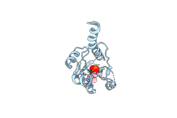 9HSI image