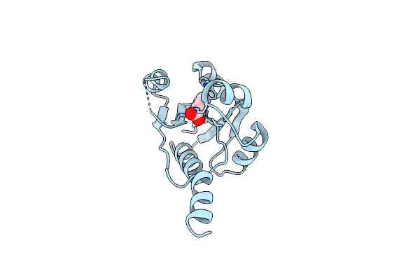 9HSL image