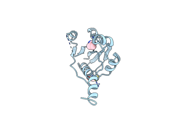 9HSN image