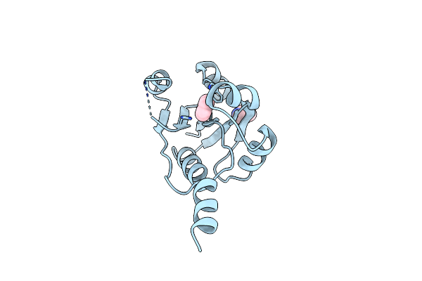 9HSO image
