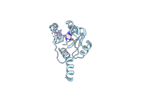 9HSP image