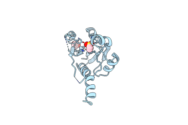 9HSR image