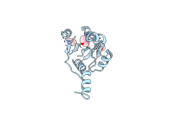 9HSS image