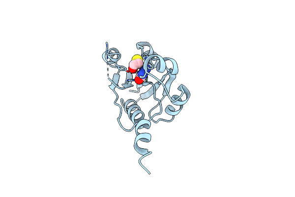 9HSW image