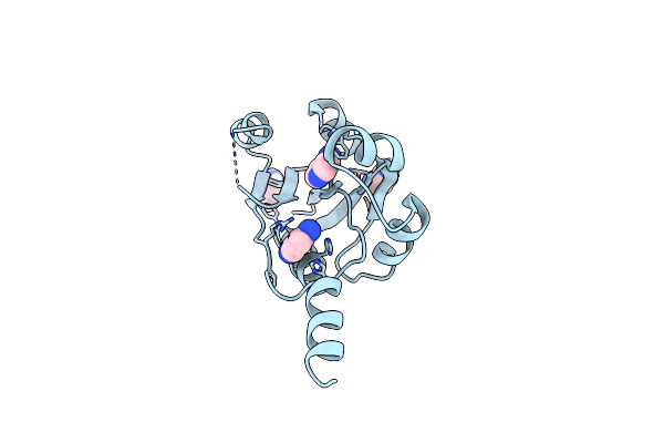 9HSZ image