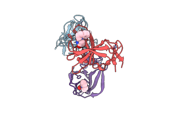 9HTN image